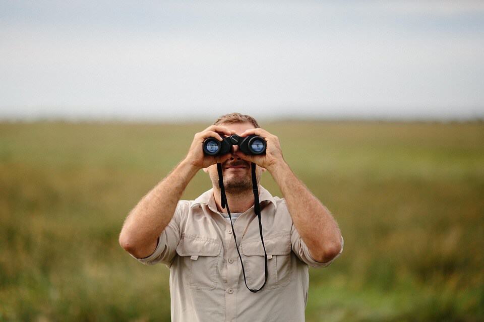 birdwatching with binoculars