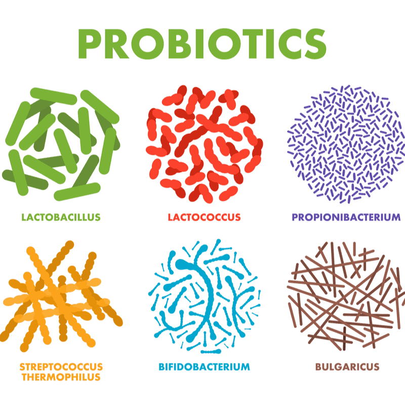 what is jarrow probiotics