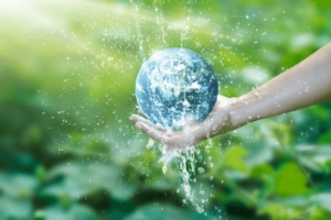 Water Conservation – Resources, Myths, Facts, Diet Concerns 

															- 13 Things You Need to Know