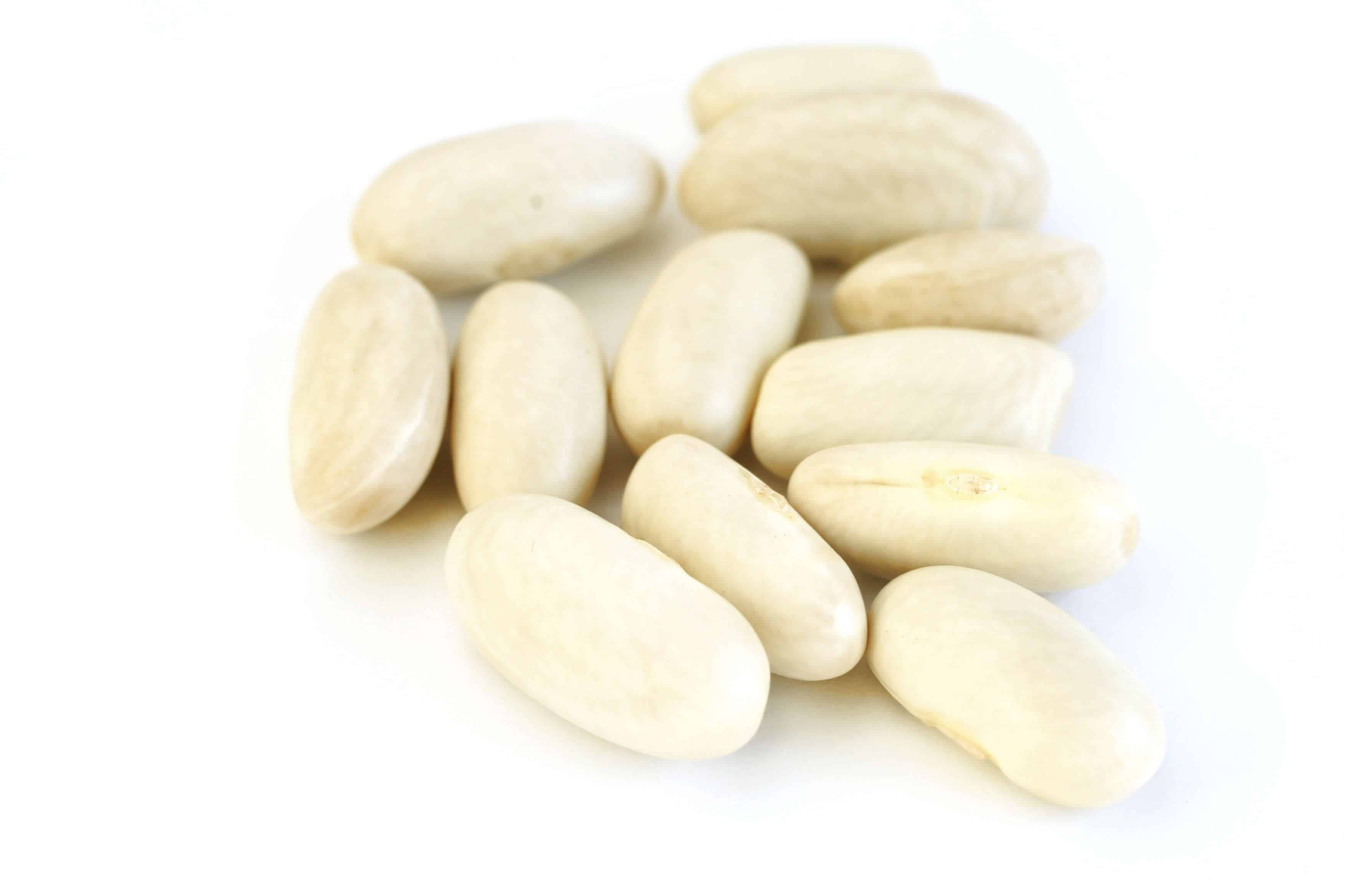 What are white kidney beans